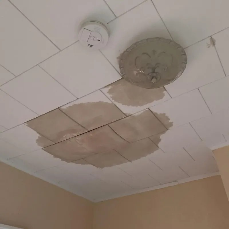 Ceiling Water Damage Repair in Ashtabula, OH
